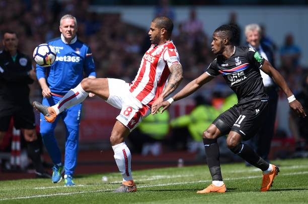 预选赛的关 预选赛的关